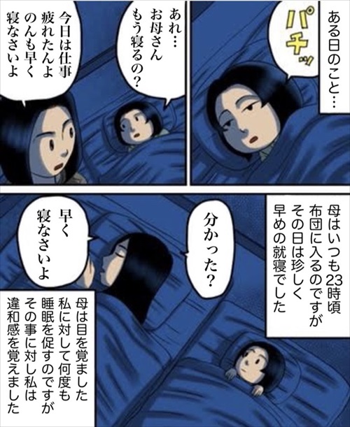 私だけが知る母の秘密