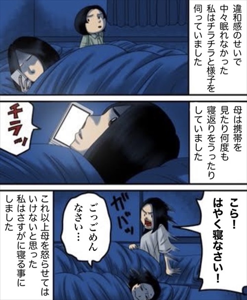 私だけが知る母の秘密