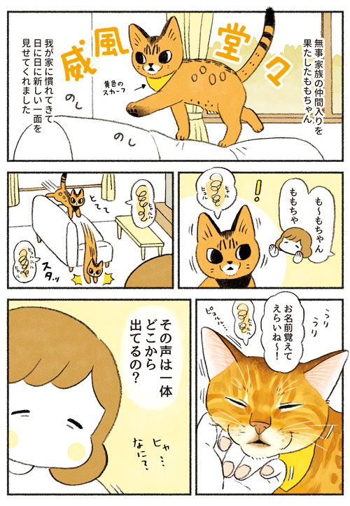 猫の漫画1話