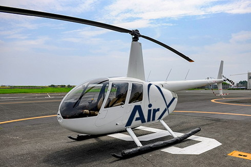 AirX SL大樹