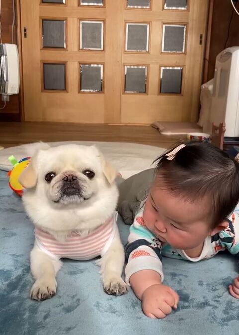 桃ちゃん正面にっこり