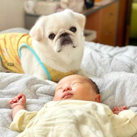 妹を見守る桃ちゃん