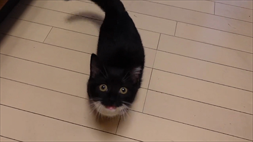 正面から見上げてお口を開けるうにちゃん