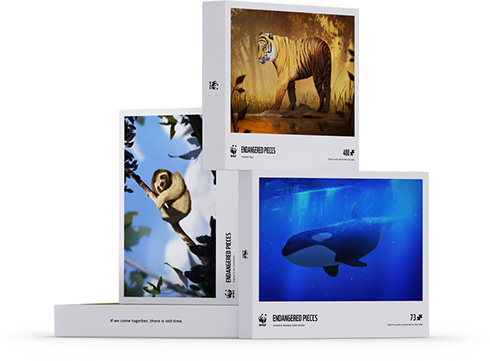 絶滅危惧種を題材にしたパズルをWWFカナダが発売　スマトラトラは400ピースなど野生に残る個体数をピース数で表現