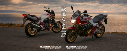 一度は乗ってみたいリッターバイク