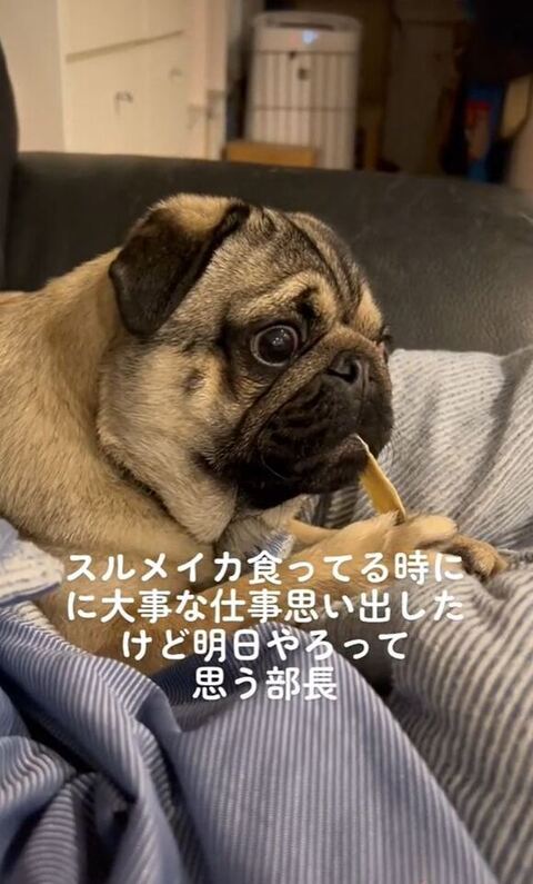 フリーズ