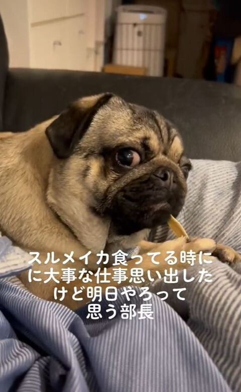 にっこり笑ってる