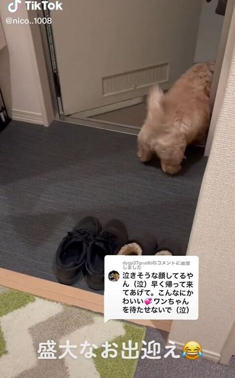 玄関から顔を出すにこちゃん