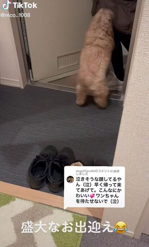 玄関先で立ってるにこちゃん