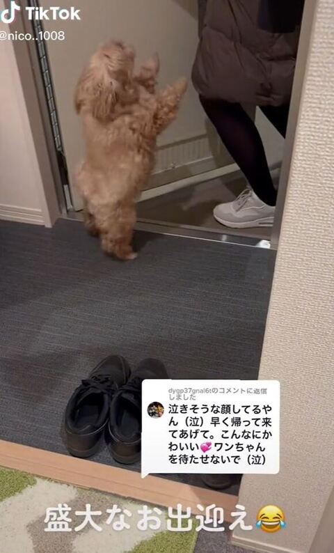 ちょうだいちょうだいのポーズ