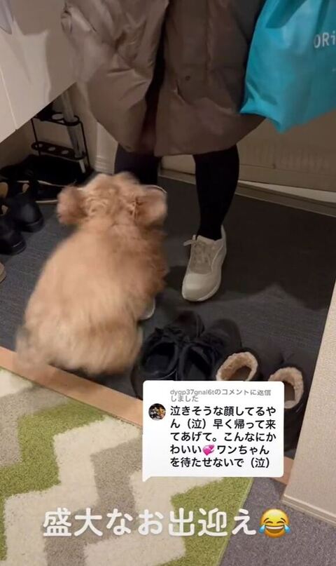 ジャンプしてるにこちゃん