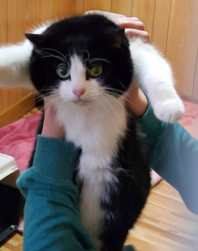 フィリックスアニマ