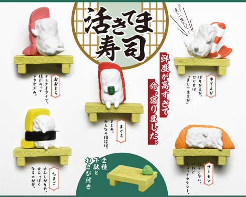 活きてま寿司09