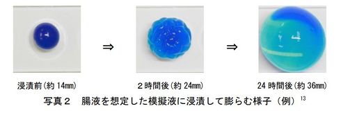 消費者庁による対処法