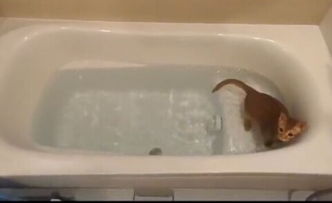 ベンチに座るこたろーくん