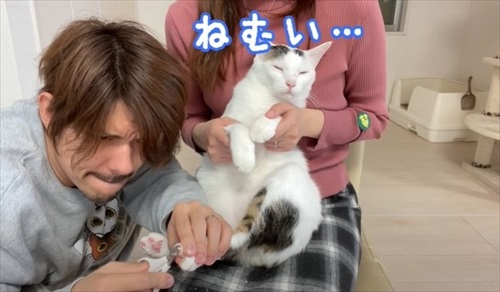 途中で眠くなってしまったチロちゃん