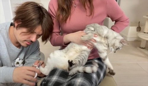 逃げ出そうとするマロちゃん