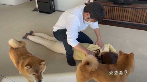 ママをマッサージするパパと柴犬