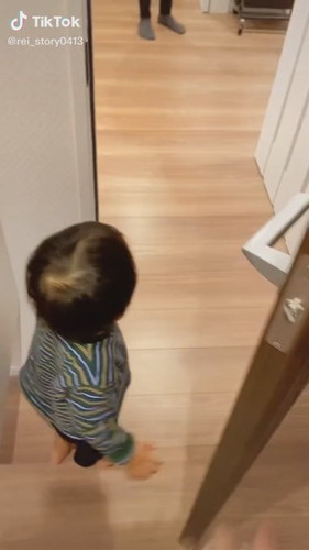 新しい家族との対面