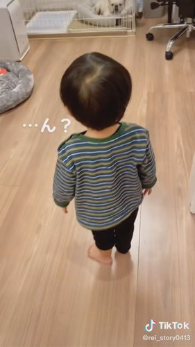 新しい家族との対面