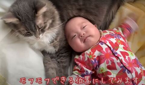 蒼くんのおなかね寝る赤ちゃん上から
