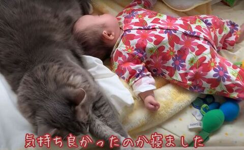 寝てる赤ちゃん