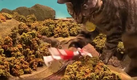 山に飛び込むウルトラマン