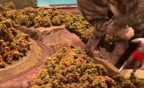 落ちるウルトラマンを見つめるライアちゃん