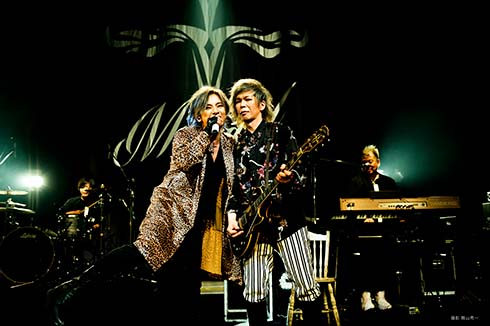 「MICHAEL」松岡充と豊田和貴