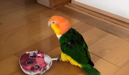 おすすめ