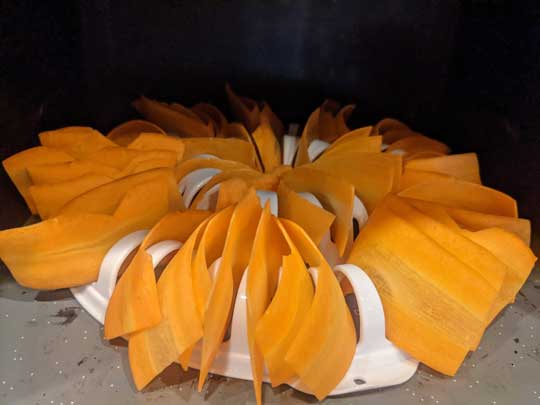 ダイソー 電子レンジチップスメーカー 野菜 チップス