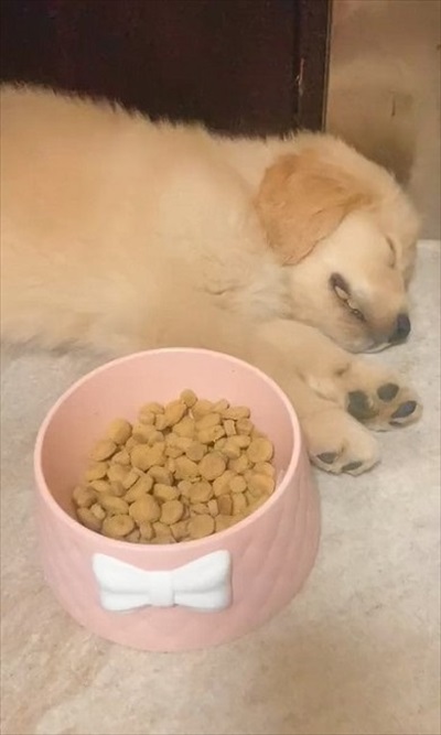 おすすめ