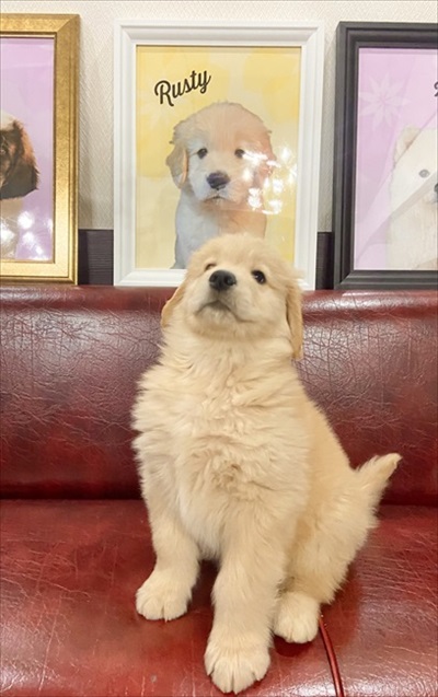 ドヤ顔のラスティくん