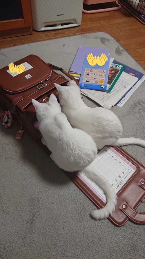 おすすめ