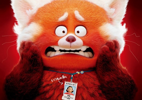 私ときどきレッサーパンダ メインビジュアル