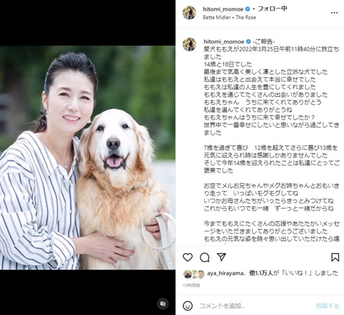 高橋ひとみと愛犬のももえ