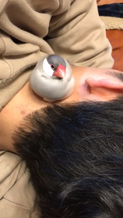 ソンくんアップ