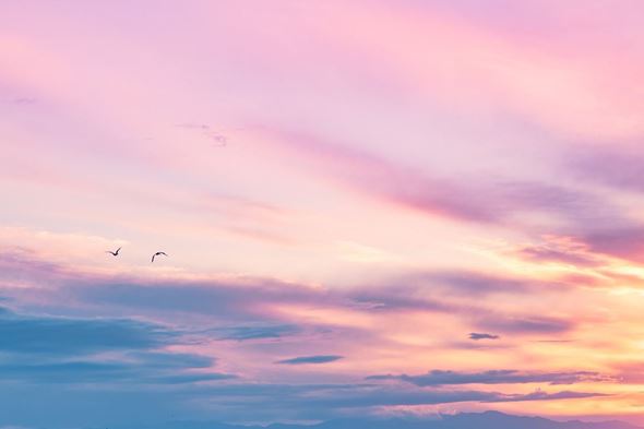 写真  風景 景色 フォトグラファー 桜 さくら 春