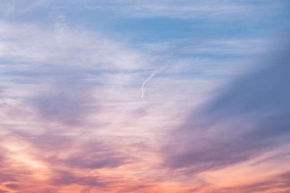 写真  風景 景色 フォトグラファー 桜 さくら 春