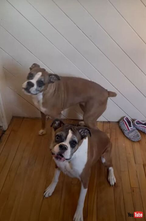 構えてるふたり