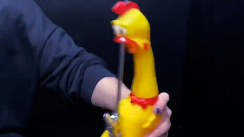 びっくりチキンドラム・ハイハットで叫ぶチキン