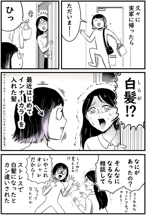 白髪 インナーカラー プリンセスお母さん