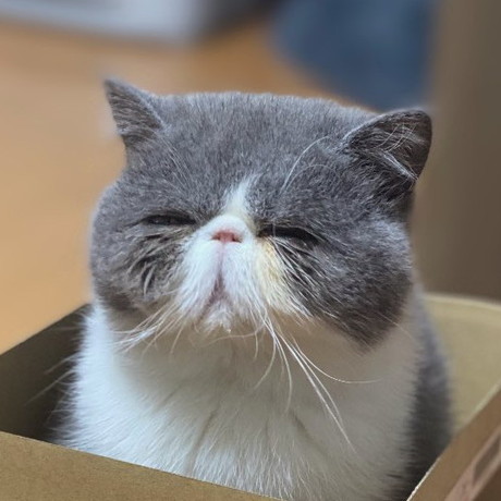 神様みたいな小雪ちゃんアップ