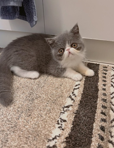 目を開いた小雪ちゃん