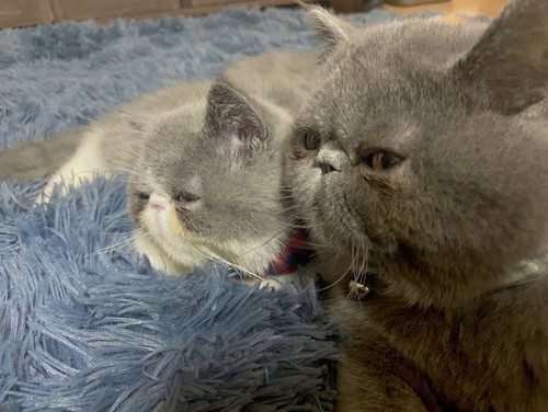 三郎くんと小雪ちゃん