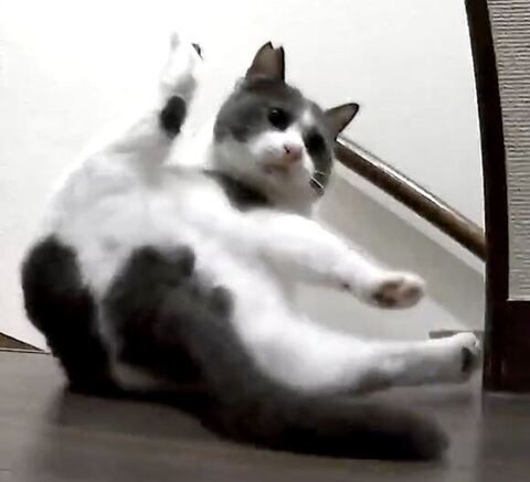 おっぴろげアップ