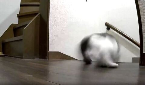 階段おりていく