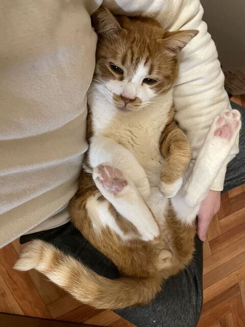 抱っこされてるマナくん