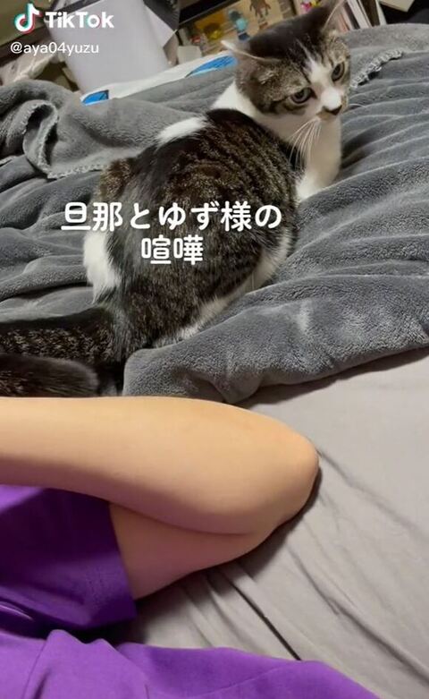 なにかをみてるゆずちゃん
