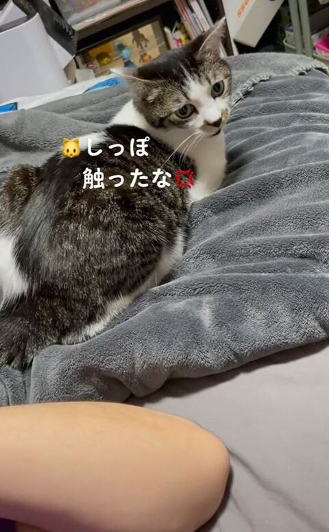 怒るゆずちゃん